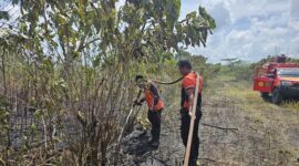 Tim gabungan melakukan penyemprotan air untuk memadamkan api di lokasi kebakaran lahan di Kabupaten Penajam Paser Utara, Provinsi Kalimantan Timur. (Dok. BPBD Kabupaten Penajam Paser Utara)