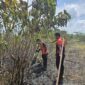 Tim gabungan melakukan penyemprotan air untuk memadamkan api di lokasi kebakaran lahan di Kabupaten Penajam Paser Utara, Provinsi Kalimantan Timur. (Dok. BPBD Kabupaten Penajam Paser Utara)